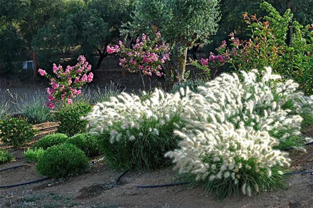 Quinta Da Espada ايفورا المظهر الخارجي الصورة